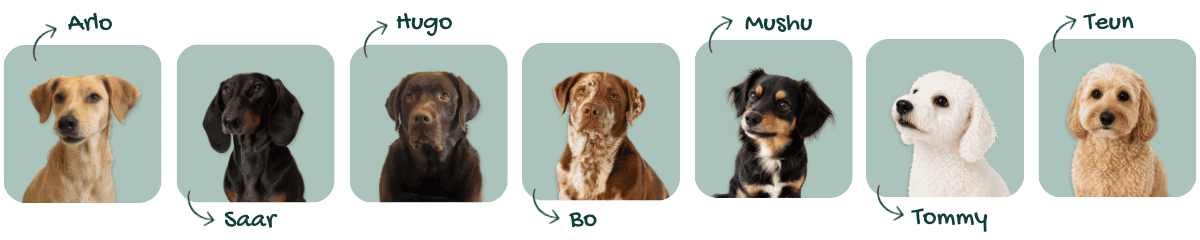 de honden van woooof